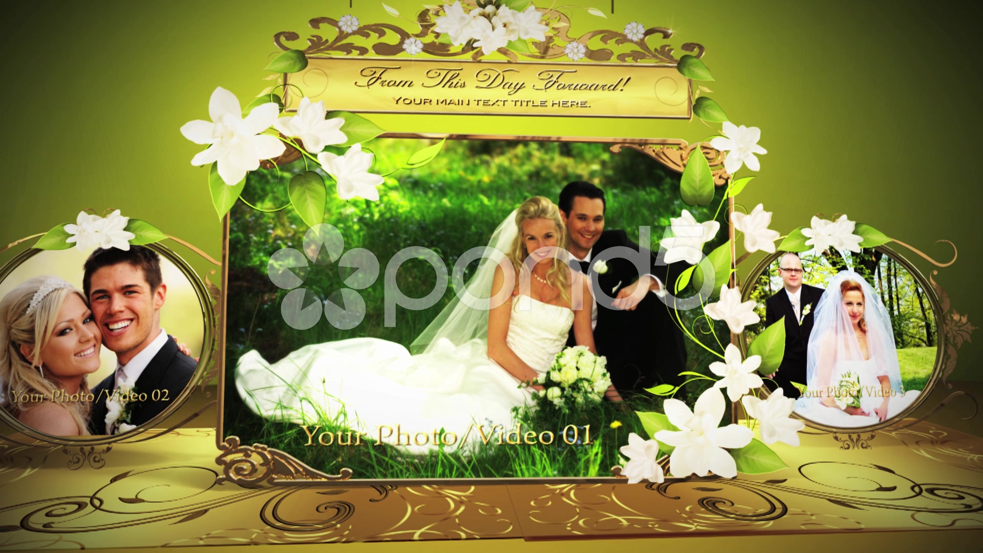 Adobe Premiere Cs3 Wedding Project Free Download